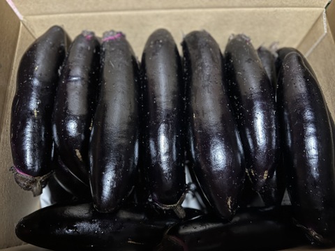 【訳あり】　長なす　群馬県東吾妻町産　4kg