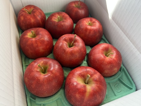 【予約販売】 シャキシャキ ジョナゴールド 約3kg(8～10個)