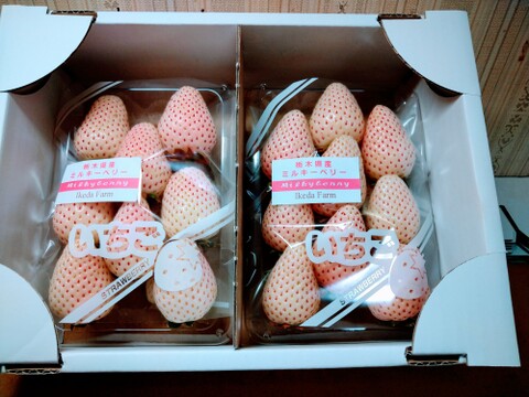 白いイチゴ🍓ミルキーベリー🍓
二段詰270g×2パック入