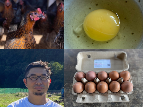 【春限定セール中！】のびのび育った平飼い有精卵 30個セット（10個×3パック）国産飼料メイン・井戸水で育った黒い鶏の卵（非GMO）臭みなし｜栃木県佐野市