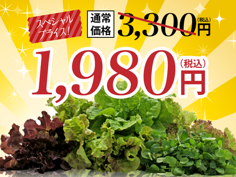 【お試し】新鮮！採れたて！フィッシュベジ6品スターターセット　化学肥料/農薬不使用だから安心して食べられる【FISH VEGGIES】