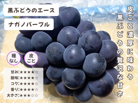 お盆シーズンにお届け可能　シャインマスカット入り　『岡山県産ぶどう』　おまかせ3種食べ比べセット　1.5キロ以上