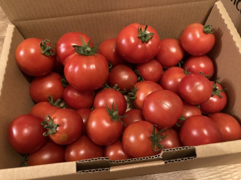 訳あり中玉トマト（箱の重さ込み2kg）