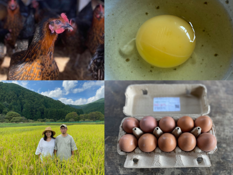 臭みのない、うまみたっぷり平飼い卵　井戸水で育てた　有精卵　遺伝子組換えトウモロコシ不使用　黒い鶏さんの卵平飼い有精卵　30個（1パック/10個入り✕3パック）栃木県佐野市