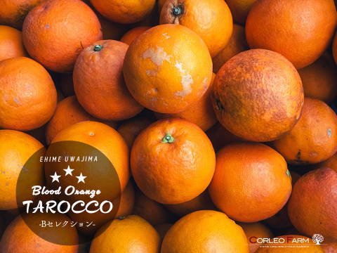 キズありでも濃厚な甘み【タロッコ】Bセレクション9kg