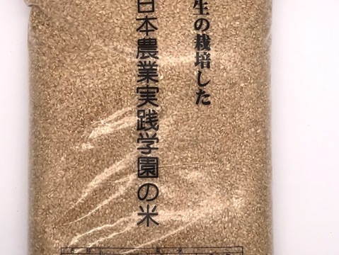 学生と作ったお米　日本農業実践学園のコシヒカリ【玄米10kg】令和4年産