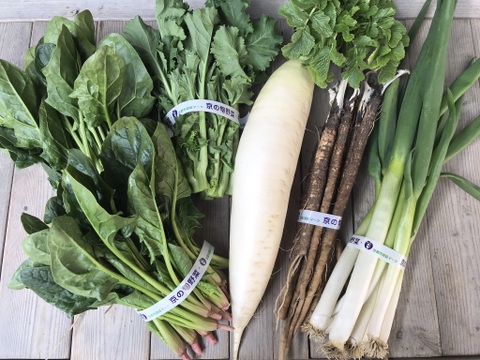 季節のお野菜5品目セット【漢方栽培】