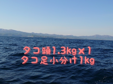 北海道小樽産　タコ頭1.3kg タコ足小分け1㎏