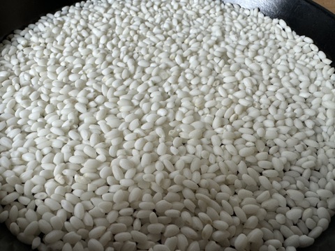 【令和7年新米】北海道産 はくちょうもち 5kg(精米)