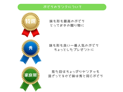 【特選】クイーンルージュ　1.0kg/2~3房