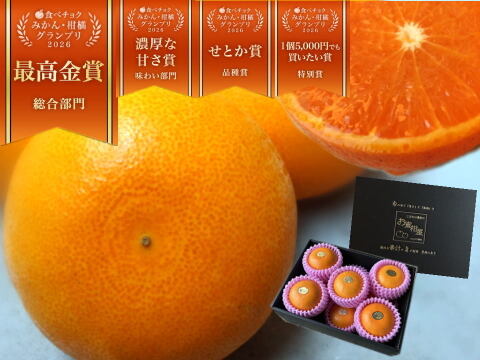 🏆みかん柑橘グランプリ2026最高金賞含む最多４部門受賞の木熟せとか！大感動！樹上完熟させた濃厚な甘みの大トロせとか！とろける甘さと上品な味わい！「木熟せとか」厳選プレミアム　約１．４ｋｇ【401】