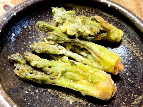 【300g】山菜の王様登場！妙高山の手摘み天然朝採りたらの芽 1番芽のみ厳選出荷いたします