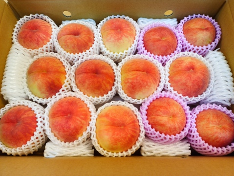 贈答用】品種おまかせ 大箱14〜20玉（約4.5kg）【ギフト・贈答用