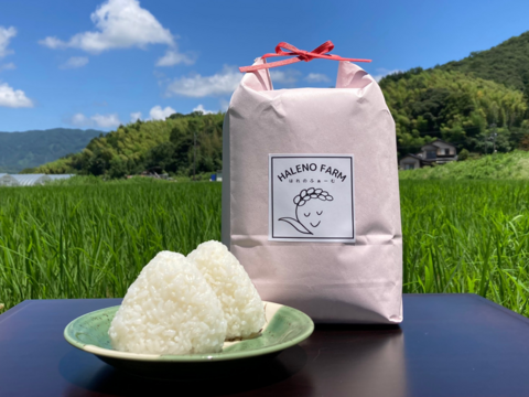 令和5年・白米・特A 10㎏ 優良金賞受賞米　きぬむすめ　栽培期間化学肥料不使用