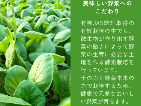 有機JAS認証取得『有機小松菜パウダー 50g』 野菜 パウダー オーガニック 農薬無散布 無添加 有機JAS認証取得