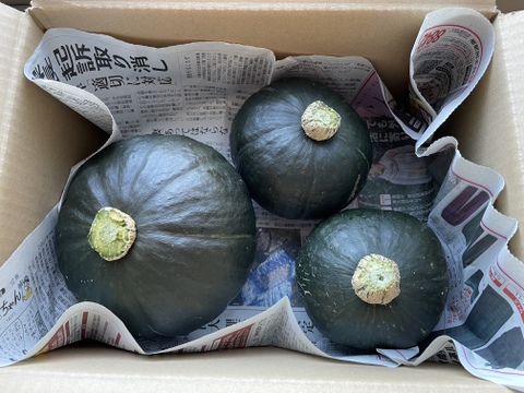 【今が旬】さつま芋3kgかぼちゃ3kg 野菜セット