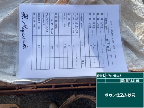 河内晩柑　(ご家庭用３kg)