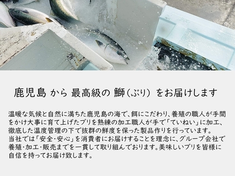 鹿児島産ぶり冷凍 ぶりカマ たたき 鹿児島県産 食べチョク 農家 漁師の産直ネット通販 旬の食材を生産者直送