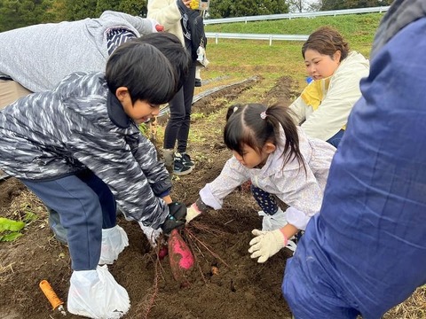 有機JAS認証野菜 さつまいも ご家庭用 サイズ混合 5kg