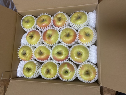 【販売開始！】青森県産りんご「ぐんま名月」家庭用 キズ有 約5kg 【光センサー選果・高リピート率】