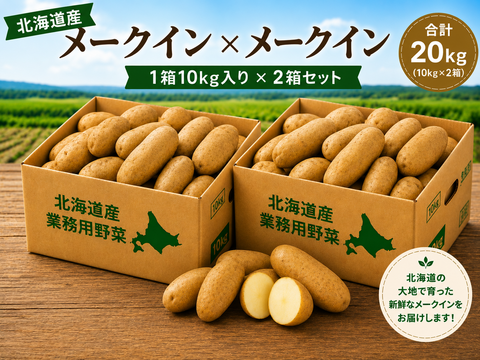 【北海道直送】煮込んでも崩れにくいメークイン20kg｜なめらか食感とやさしい甘み