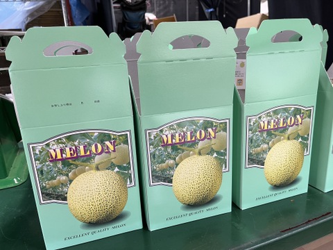 夏限定！高級メロン《リムジン》　　1.7 kg × 2 玉
糖度が高く、みずみずしい果肉がとろけるような食感！
贈り物やご自宅用にぴったりの大人気🍈メロン🍈