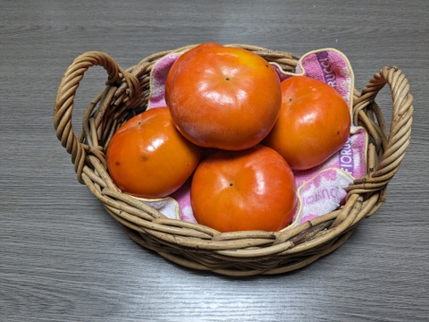 あま～い和歌山晩秋の味　富有柿　家庭用　大容量7.5kg入り