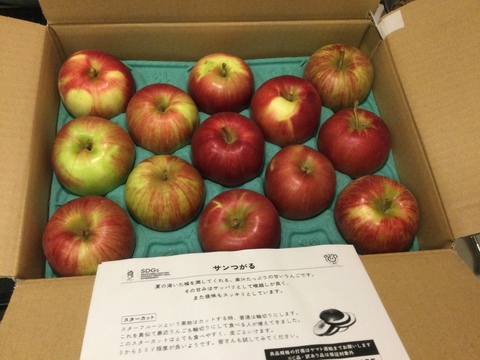 サンつがる 3キロ箱 6玉〜15玉サイズ商品ID44867 長野県 信州 安曇野 リンゴ 幻 幻のリンゴ 予約 希少 旬