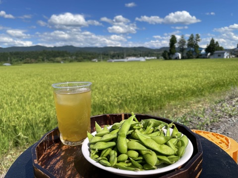 【毎朝収穫中！】枝豆 えだまめ フルーツ枝豆 2kg 秋田県産 横手市産 まるで果物！甘くておいしい 産地直送 農家直送 朝穫れ