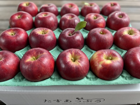 葉とらず　紅玉　約4.5kg【2025年産】