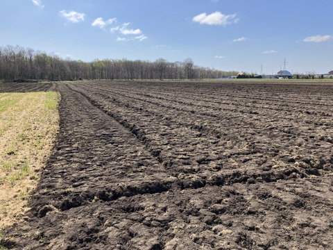 旬のセット🍠🎃【北海道産🌎農薬化学肥料・除草剤不使用】甘いサツマイモ5㎏🍠ホクホク南瓜5㎏のセット🍠🎃