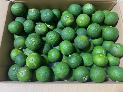 【今期最後】傷ありお得用 すだち 2kg