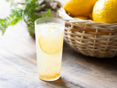 【本格LEMON SYRUP 】レモンシロップ〜レモンピール＆国産はちみつ入り〜60g×6袋