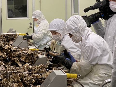 【冷凍】かきご馳走パーティーセット　2名様用　広島県産　生食用かき　殻付かきグラタン　オイスタ―チャウダー　揚げてるかきフライ　ご自宅用　贈答用にもおすすめ♪