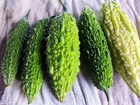 旬のお野菜セット（5～7品）クール便