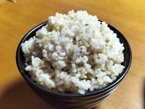 玄米 約5kg 秋田のあきたこまち 【令和7年産】【冬ギフト】