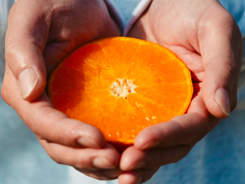 【予約限定価格】柑橘の大トロ【せとか 3.5kg】～とろける濃厚果実～ 家庭用