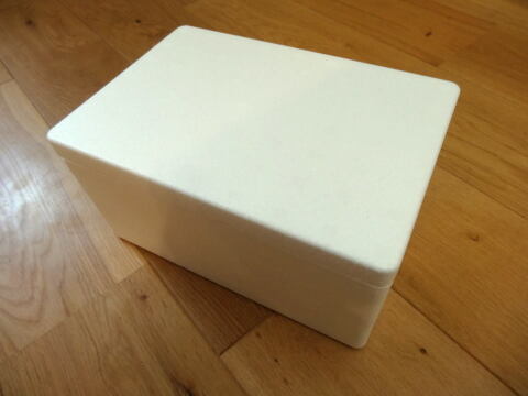 【アンケート付！増量分】暑い夏に！新冷凍みかんアイスが新登場！こだわり栽培の完熟みかんを瞬間凍結！10分の自然解凍で食べ頃！くちどけ滑らかな「とろ生アイスみかん💛」　約100g×5袋（計500g）