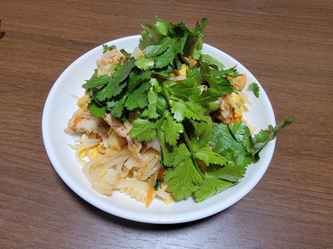 食べ頃の葉のみ収穫！農薬不使用でそのまま食べられるパクチー100g