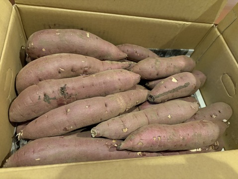 【訳アリ！5kg弱×1箱】ねっとり濃厚、密たっぷり熟成さつまいも🍠「べにはるか」（2S/S/Mサイズ混合お任せセット）