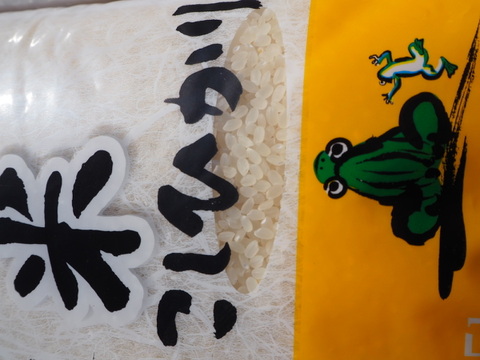 千葉県産　コシヒカリ　無洗米　10kg