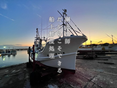 最上品★網元が作る天日干しシラス 化粧箱入り