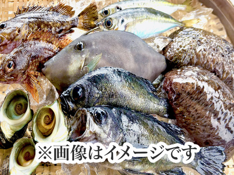漁師直送！！鮮魚BOX　5種以上