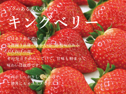 【いちご博2024　さわやかな甘み部門金賞】コクのある大人の味わい！いちご（苺・イチゴ）キングベリー【2Lサイズ×4パック】