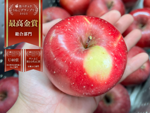 大人気完売🙇りんごグランプリ2025最高金賞1位🎊【葉っぱ取り忘れ】サンふじ 3キロ箱 6玉〜15玉サイズ 商品ID43397 長野県 信州 安曇野 リンゴ 幻 幻のリンゴ 予約 希少 甘い ふじ