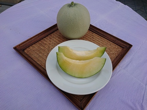 【贈答用】あっ晴れメロン1玉化粧箱入り