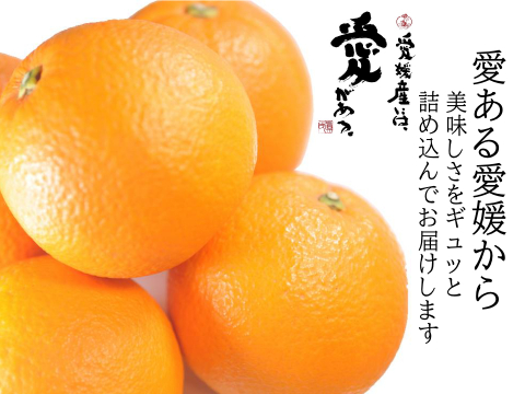 濃厚完熟　蔵出し　愛媛中島産ネーブル　優品・1.8ｋｇ