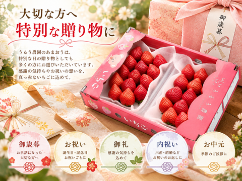 【予約販売 2026年11月下旬～順次発送】いちごの王様！あまおう苺 人気サイズ 約250g～270g×4パック（約1080g） デラックス等級