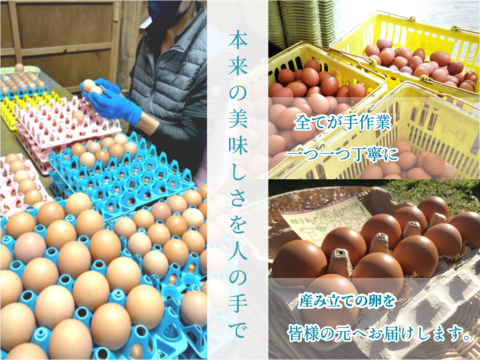 ☆＊【夢まるの若鶏🍗】＊☆
安納芋の甘味がギュッ！っと詰まった脂と旨味が溢れ出す！夢まるの若鶏　約1,800g