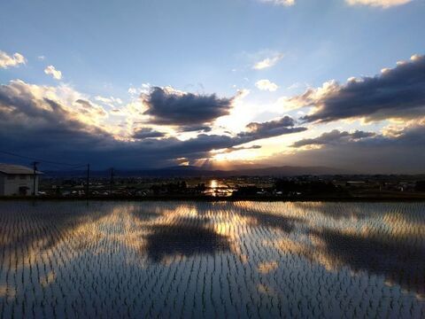 【完売御礼　新米は10/10頃予定】雪蔵銀ぴか米ミルキークイーン（15kg）